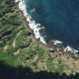 Satellite imagery of Bream Head, NZ
