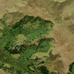 Satellite imagery of 2 NO 2, NZ
