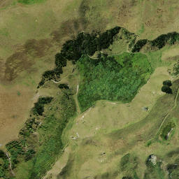 Satellite imagery of 2 NO 2, NZ
