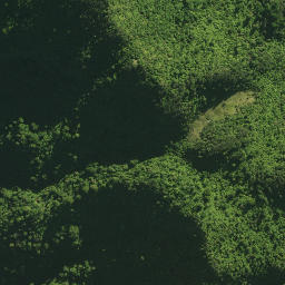 Satellite imagery of 41 TANGIHUA, NZ