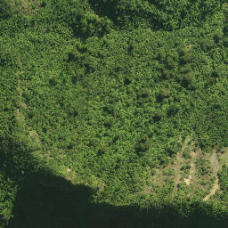 Satellite imagery of 41 TANGIHUA, NZ