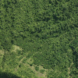 Satellite imagery of 41 TANGIHUA, NZ