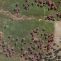 Satellite imagery of Crisp Hill, AU
