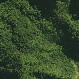 Satellite imagery of 41 TANGIHUA, NZ