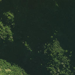 Satellite imagery of 41 TANGIHUA, NZ