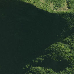 Satellite imagery of 41 TANGIHUA, NZ