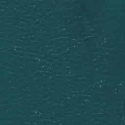 Satellite imagery of Busby Head, NZ