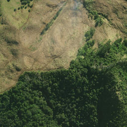 Satellite imagery of B HUARUA, NZ