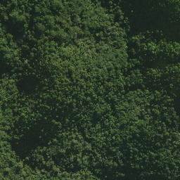 Satellite imagery of B HUARUA, NZ