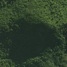 Satellite imagery of Waltons Cliffs, NZ