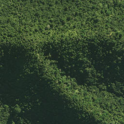 Satellite imagery of Waltons Cliffs, NZ