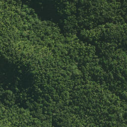 Satellite imagery of Waltons Cliffs, NZ
