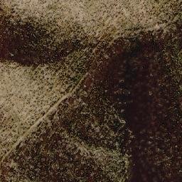 Satellite imagery of Black Ridge, AU