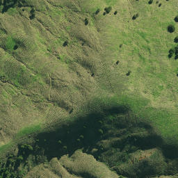 Satellite imagery of TAUROA NO 2, NZ