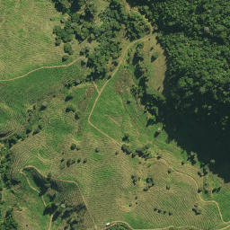 Satellite imagery of TAUROA NO 2, NZ