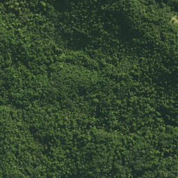Satellite imagery of Waltons Cliffs, NZ