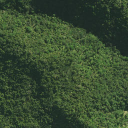 Satellite imagery of Waltons Cliffs, NZ