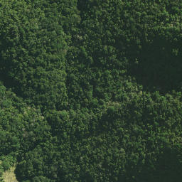 Satellite imagery of Waltons Cliffs, NZ