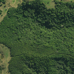 Satellite imagery of TAUROA NO 2, NZ