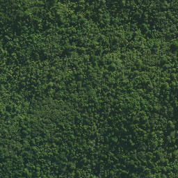 Satellite imagery of Waltons Cliffs, NZ