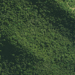 Satellite imagery of Waltons Cliffs, NZ