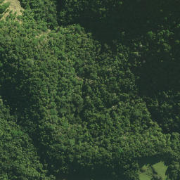 Satellite imagery of Waltons Cliffs, NZ