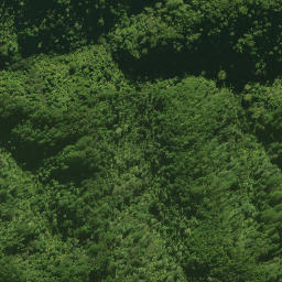 Satellite imagery of 55 KUKUNUI, NZ