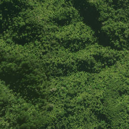 Satellite imagery of 55 KUKUNUI, NZ