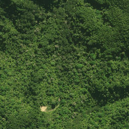 Satellite imagery of 55 KUKUNUI, NZ