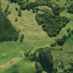 Satellite imagery of 54 NGATOKA, NZ