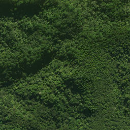 Satellite imagery of 55 KUKUNUI, NZ