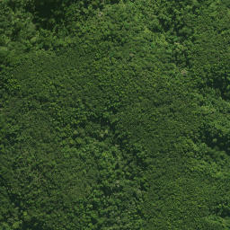 Satellite imagery of 55 KUKUNUI, NZ