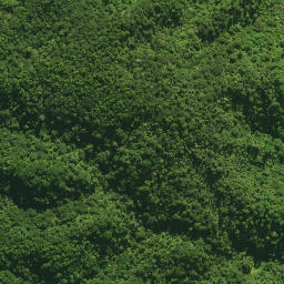 Satellite imagery of 55 KUKUNUI, NZ