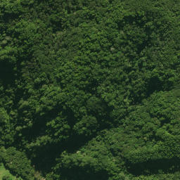 Satellite imagery of 55 KUKUNUI, NZ