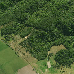 Satellite imagery of 55 KUKUNUI, NZ