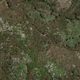 Satellite imagery of Niguiní, CL