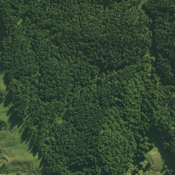 Satellite imagery of MASON, NZ