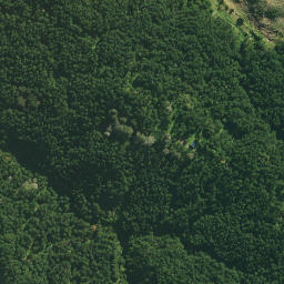 Satellite imagery of MASON, NZ