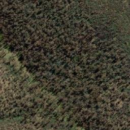 Satellite imagery of Mount Wombat, AU
