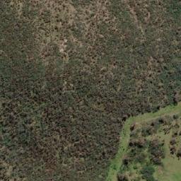 Satellite imagery of Mount Wombat, AU