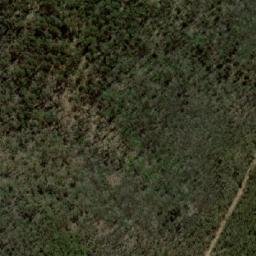 Satellite imagery of Bald Mountain, AU