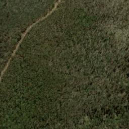 Satellite imagery of Bald Mountain, AU