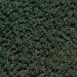 Satellite imagery of Congo Point, AU
