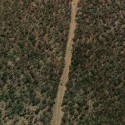 Satellite imagery of Sma 1033, AU