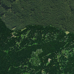 Satellite imagery of PAIAWA, NZ
