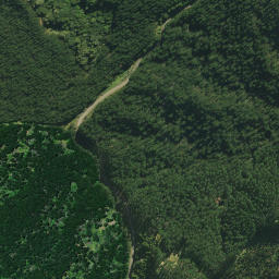 Satellite imagery of PAIAWA, NZ