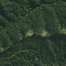 Satellite imagery of PAIAWA, NZ