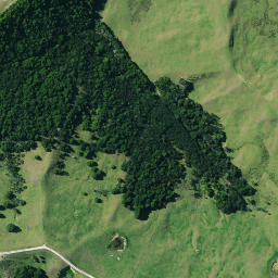 Satellite imagery of ONEWA, NZ