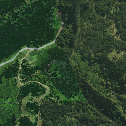 Satellite imagery of PAIAWA, NZ