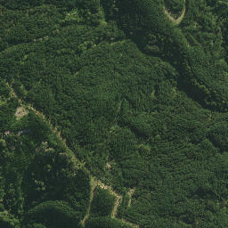 Satellite imagery of PAIAWA, NZ